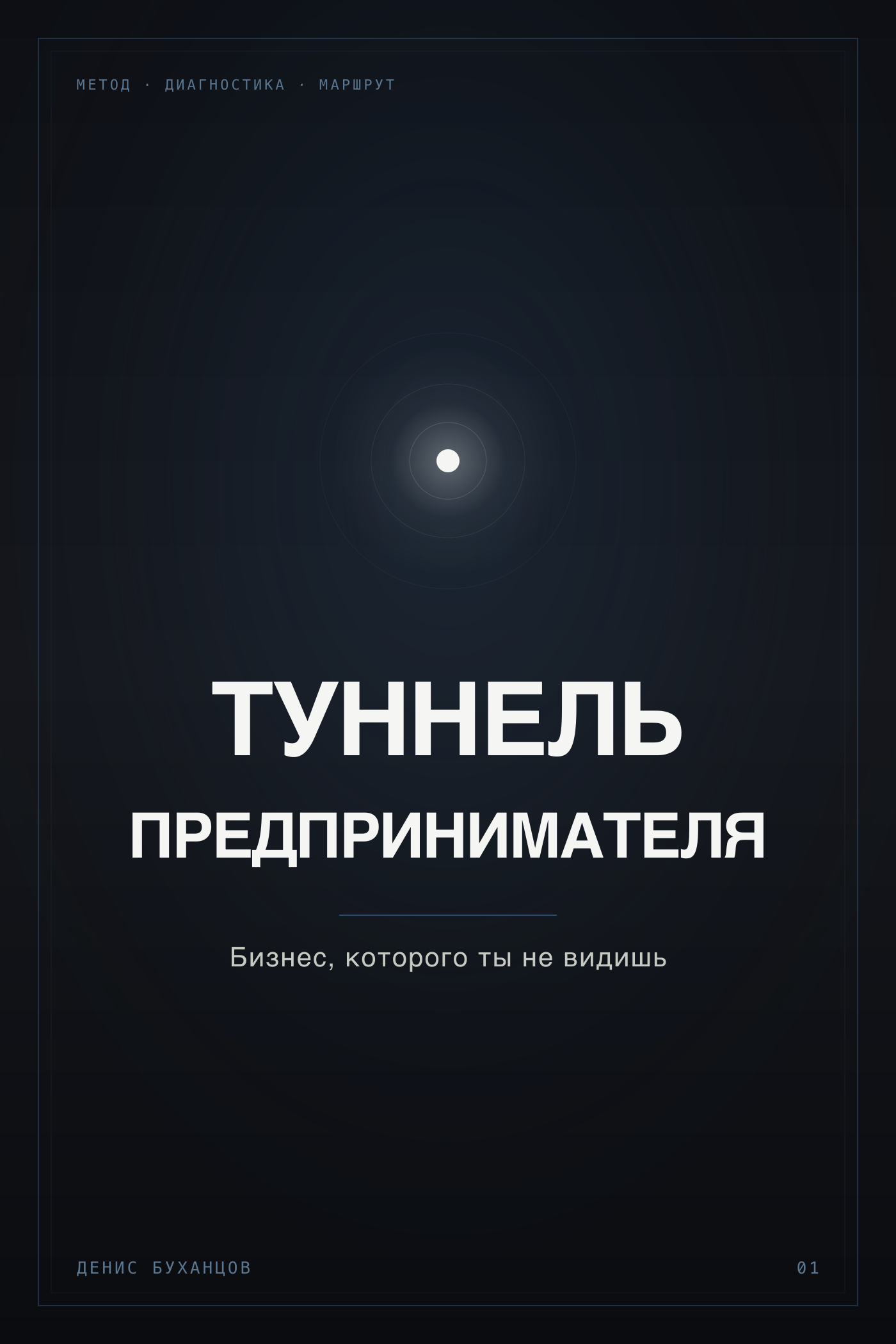 Обложка книги «Туннель предпринимателя. Бизнес, которого ты не видишь» — Денис Буханцов
